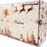 Gin Adventskalender 2020