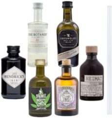 Gin Mini Tasting Set – 6 x Original Gin minis