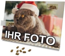 printplanet – Katzen Adventskalender