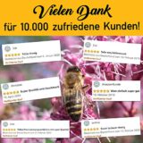 Honig Adventskalender in Bienenkasten Optik – Bild 7