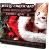 Leitner Adventskalender für Katzen